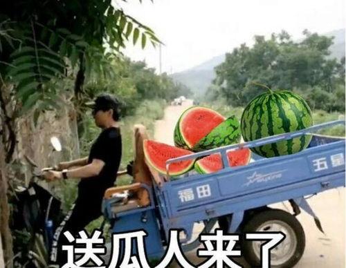 最近大瓜事件,揭秘明星隐私风波背后的真相-第1张图片-抖抈免费版app 最近大瓜事件,揭秘明星隐私风波背后的真相-第1张图片-抖抈免费版app