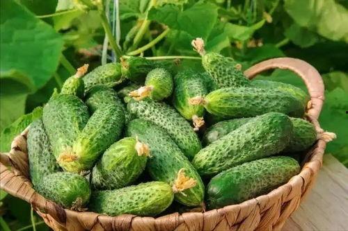 最近大瓜事件,揭秘明星隐私风波背后的真相-第2张图片-抖抈免费版app 最近大瓜事件,揭秘明星隐私风波背后的真相-第2张图片-抖抈免费版app