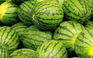 吃瓜网官网免费观看 吃瓜网官网,免费观看，畅享娱乐盛宴-第2张图片-抖抈免费版app