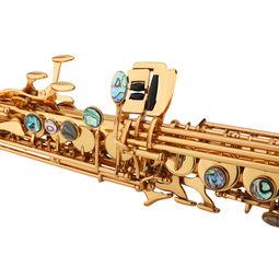 成人萨克斯如何考级视频,跟随视频轻松掌握成人考级技巧-第1张图片-抖抈免费版app