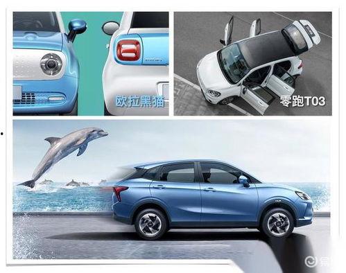 室内滑行成人小车视频,畅享家庭娱乐新体验-第2张图片-抖抈免费版app 室内滑行成人小车视频,畅享家庭娱乐新体验-第2张图片-抖抈免费版app