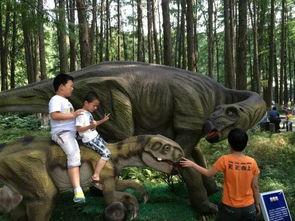 恐龙成人摆摊视频教程,轻松上手,打造独特街头摊位-第1张图片-抖抈免费版app 恐龙成人摆摊视频教程,轻松上手,打造独特街头摊位-第1张图片-抖抈免费版app