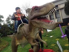 恐龙成人摆摊视频教程,轻松上手,打造独特街头摊位-第2张图片-抖抈免费版app 恐龙成人摆摊视频教程,轻松上手,打造独特街头摊位-第2张图片-抖抈免费版app