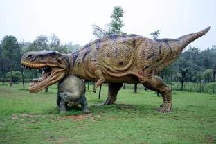 恐龙成人摆摊视频教程,轻松上手,打造独特街头摊位-第3张图片-抖抈免费版app 恐龙成人摆摊视频教程,轻松上手,打造独特街头摊位-第3张图片-抖抈免费版app