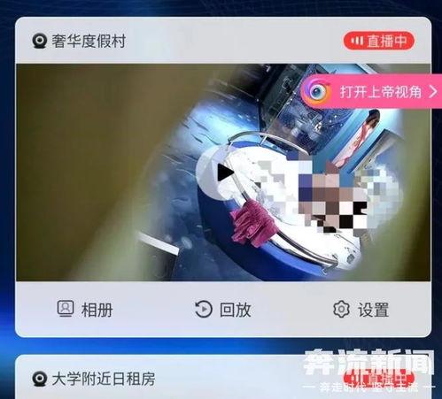 成人免费直播房间视频,精彩瞬间与幕后故事-第1张图片-抖抈免费版app