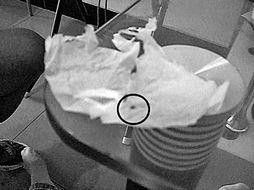 成人应该如何打虫子视频,成人打虫子操作步骤详解视频-第2张图片-抖抈免费版app 成人应该如何打虫子视频,成人打虫子操作步骤详解视频-第2张图片-抖抈免费版app