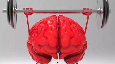 成人训练大脑的动作视频,探索成人训练大脑的神奇之旅-第1张图片-抖抈免费版app