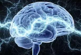 成人训练大脑的动作视频,探索成人训练大脑的神奇之旅-第3张图片-抖抈免费版app