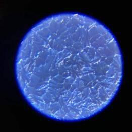 干冰变成人物视频,瞬间变身的奇幻之旅-第3张图片-抖抈免费版app