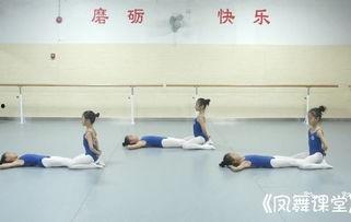 舞蹈成人腹肌训练视频,跟随舞蹈成人腹肌训练视频高效塑形-第2张图片-抖抈免费版app