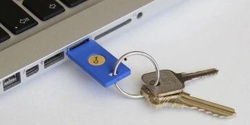 成人用优盘视频安全吗,成人使用优盘视频的安全性探讨-第1张图片-抖抈免费版app