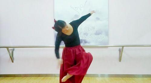 舞蹈成人培训中国舞视频,中国舞成人培训视频精华回顾-第1张图片-抖抈免费版app