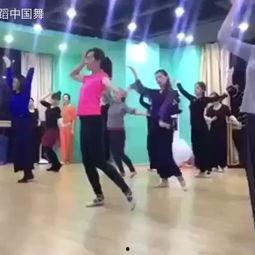 舞蹈成人培训中国舞视频,中国舞成人培训视频精华回顾-第3张图片-抖抈免费版app