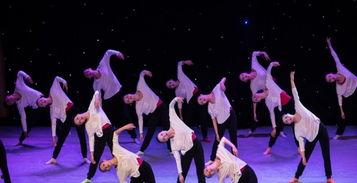 独舞剧目成人艺考视频,成人艺考舞台上的艺术绽放-第1张图片-抖抈免费版app