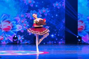 独舞剧目成人艺考视频,成人艺考舞台上的艺术绽放-第3张图片-抖抈免费版app