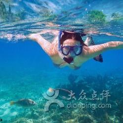 游泳馆成人训练视频-第2张图片-抖抈免费版app