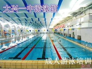 游泳馆成人训练视频-第3张图片-抖抈免费版app