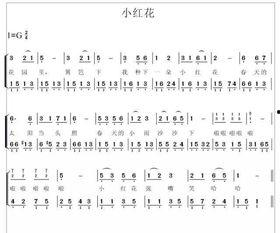 成人易学简谱大全视频教程,轻松入门,音乐之路从此开启-第1张图片-抖抈免费版app 成人易学简谱大全视频教程,轻松入门,音乐之路从此开启-第1张图片-抖抈免费版app