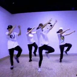 关于成人舞蹈的视频教学,轻松入门成人舞蹈世界-第3张图片-抖抈免费版app