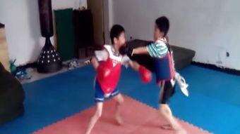 成人散打摔跤教学视频-第1张图片-抖抈免费版app