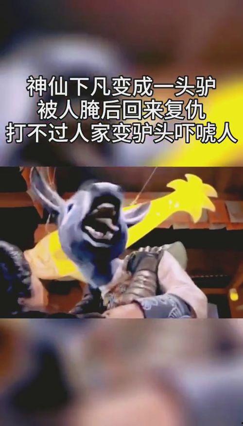 驴变成人的视频,驴儿奇遇记，变身人形之谜揭晓-第1张图片-抖抈免费版app