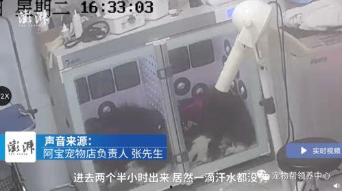 成人洗澡烘干箱怎么用视频-第2张图片-抖抈免费版app