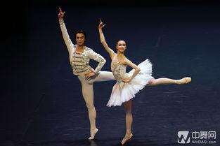 芭蕾比赛视频成人舞-第1张图片-抖抈免费版app