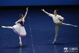 芭蕾比赛视频成人舞-第3张图片-抖抈免费版app