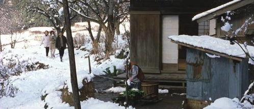 日本一本成人免费视频,内容丰富，尺度惊人-第1张图片-抖抈免费版app