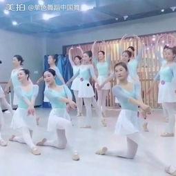 舞蹈成人舞独舞教学视频-第3张图片-抖抈免费版app