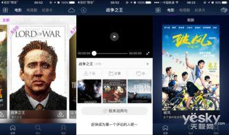 成人追狗的视频,成人视角下的欢乐追逐记-第1张图片-抖抈免费版app
